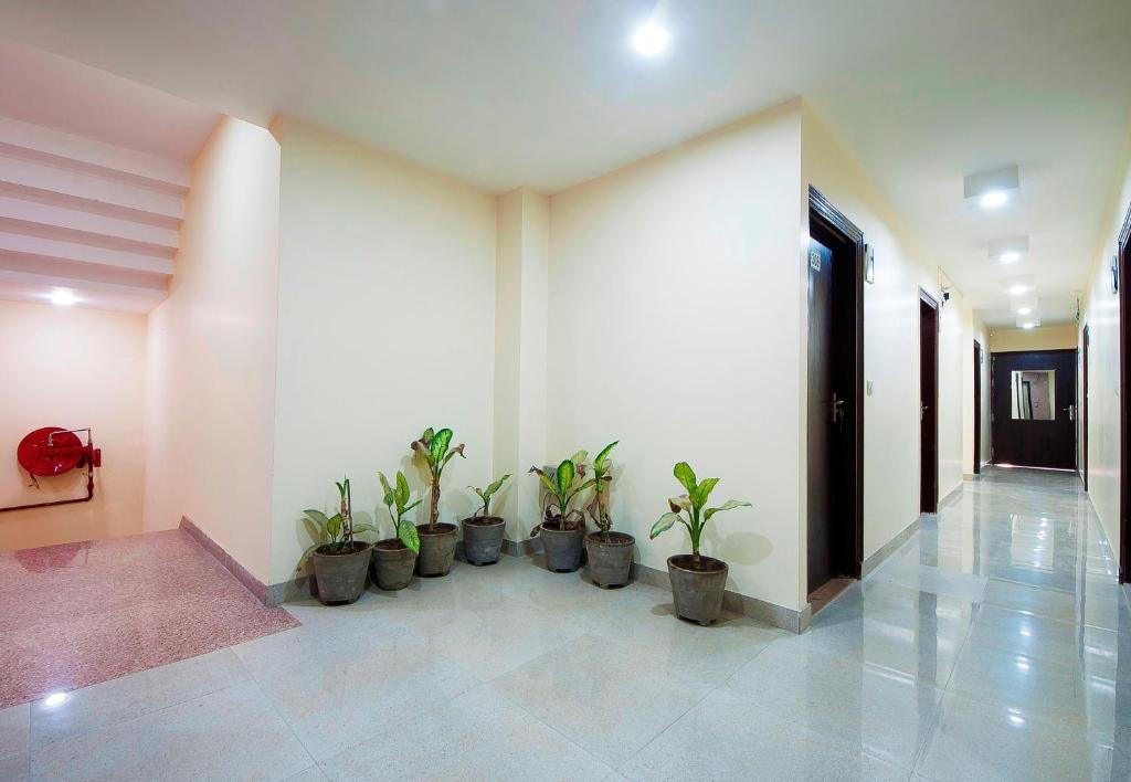 a hallway with a bunch of plants in pots at Hotel NERTU in New Delhi