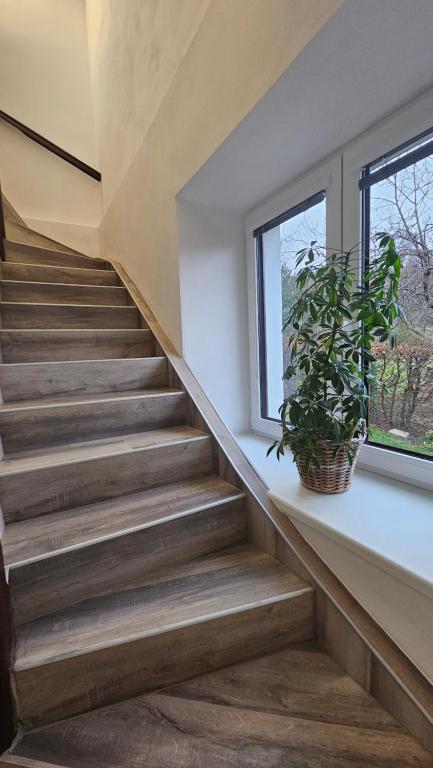 Fotografie z fotogalerie ubytování Apartmány U Provazníka ve Zdíkově