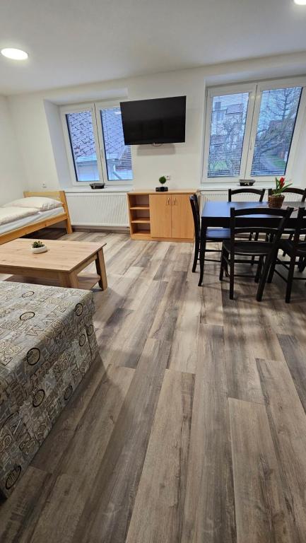 TV a/nebo společenská místnost v ubytování Apartmány U Provazníka