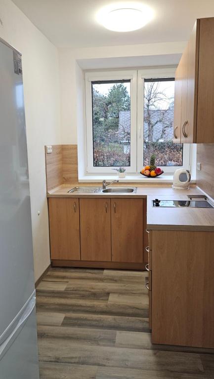 Kuchyň nebo kuchyňský kout v ubytování Apartmány U Provazníka