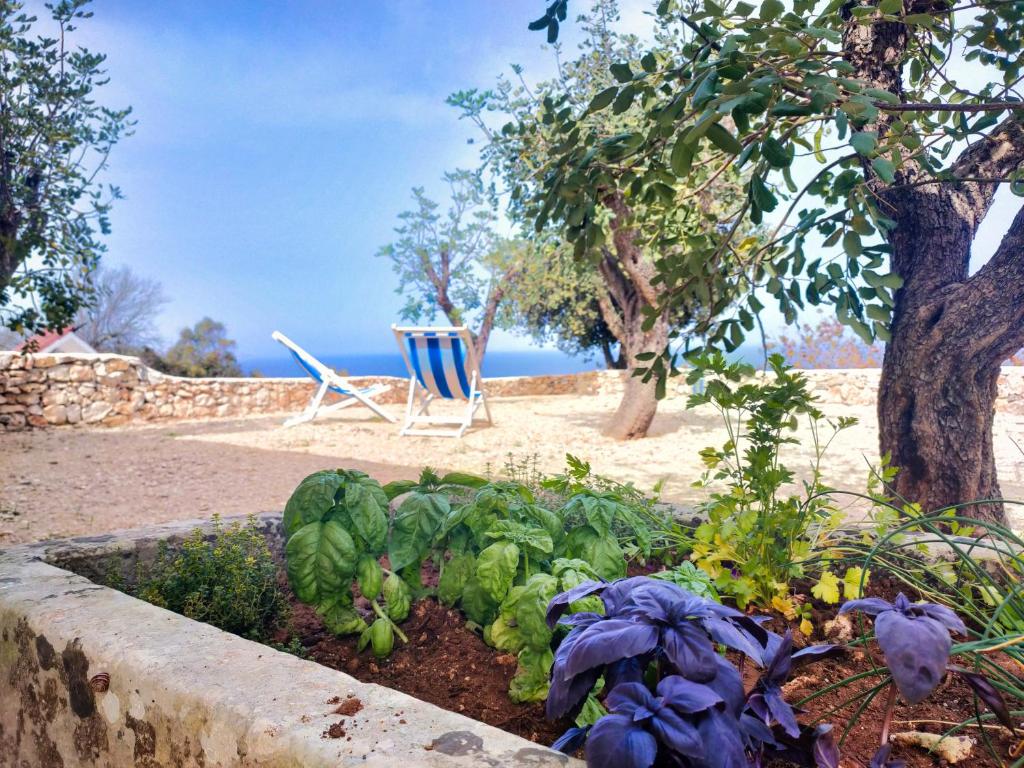 Le Pajare di Marina Serra di Casa Camilla Journey - Vakantiehuis
