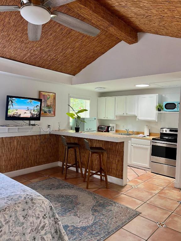 Turtle Beach Resort - Hibiscus Cottage Studio