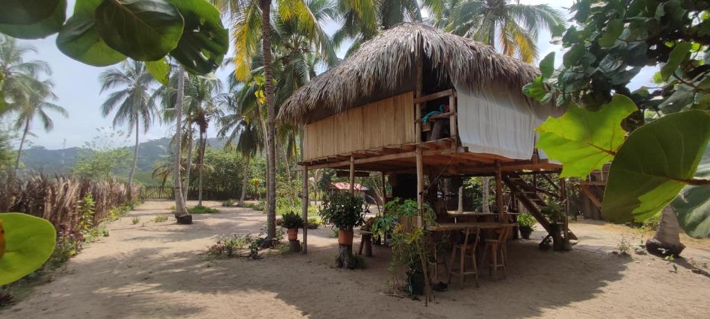 a small hut with a straw roof on a palm tree at PLAYA MARIA in Palomino
