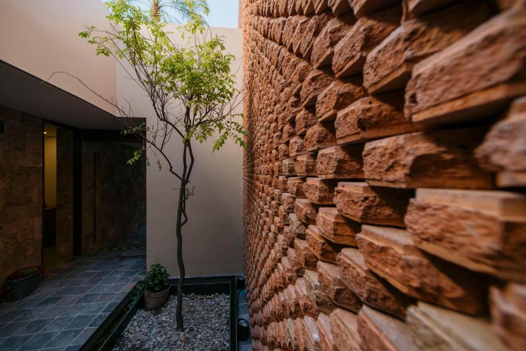 Fotografie z fotogalerie ubytování Punta Agave Suites v destinaci Oaxaca