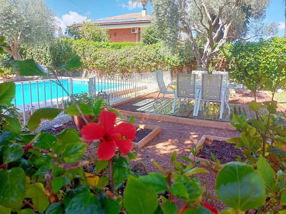 a garden with a pool and a red flower at Un trocito de paraíso junto al mar in El Campello