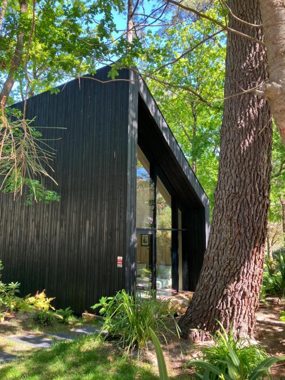 une maison recouverte de noir à côté d'un arbre dans l'établissement NOUVEAU - Ecolodge avec piscine au Golf-Plage de Biscarrosse - Couchage 2 adultes - Petit-déjeuner compris, à Biscarrosse