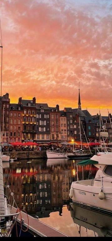 un groupe de bateaux amarrés dans une marina au coucher du soleil dans l'établissement Le Petit Honfleur, à Honfleur