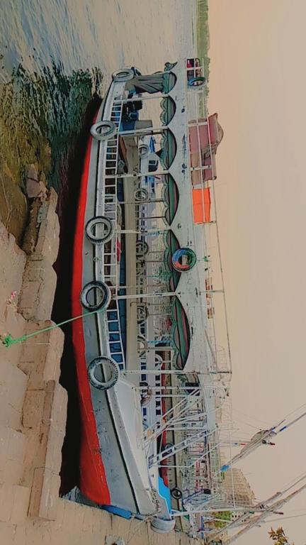 an overhead view of a painting of a building at أسوان in Aswan