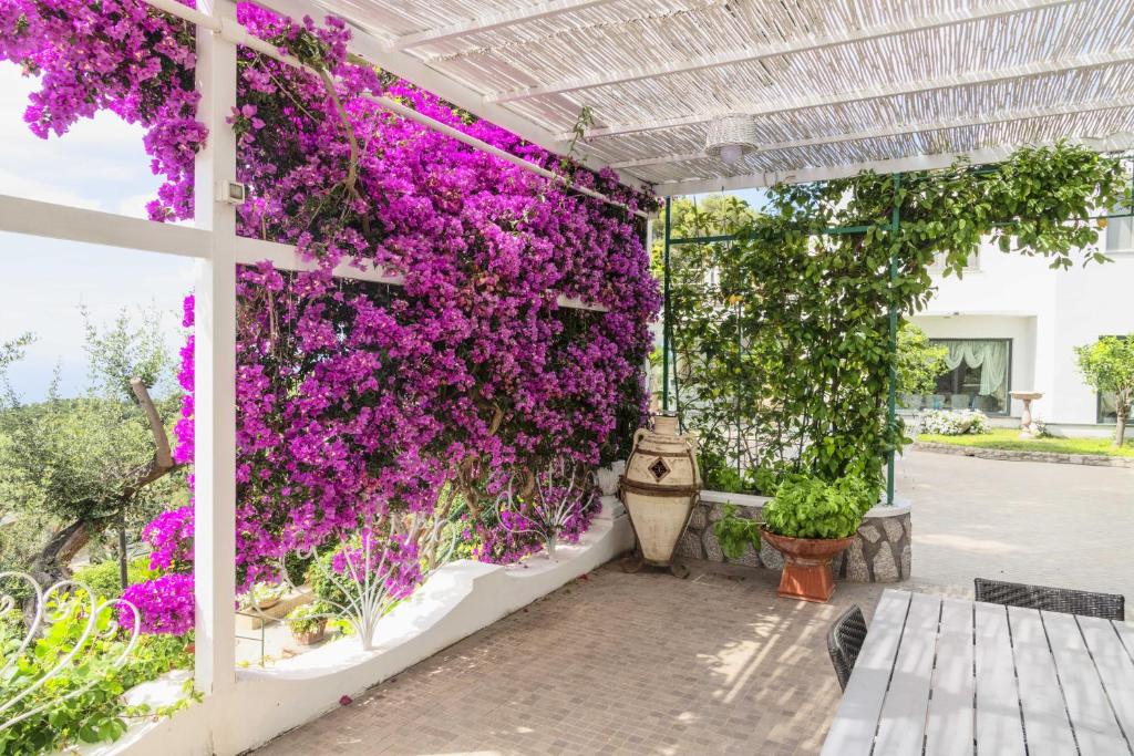 Zahrada ubytování La Canostra Capri - luxury ROOM ad Anacapri