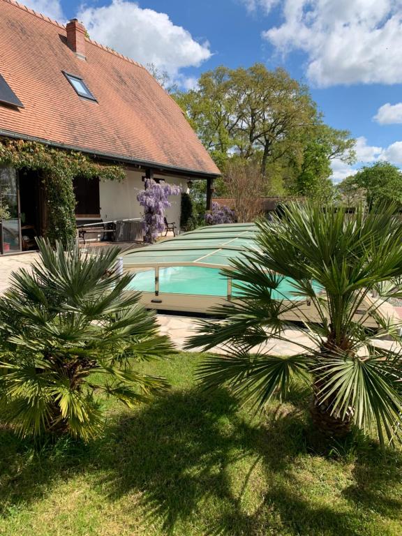 deux palmiers devant une maison dans l'établissement GITE Au Dessus des Pâquerettes, à Janville