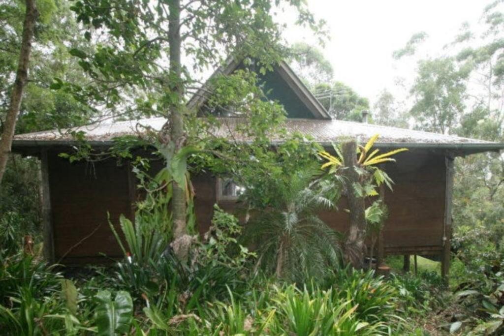 una pequeña casa en medio de un bosque en “Jinwhi”, en Beechmont