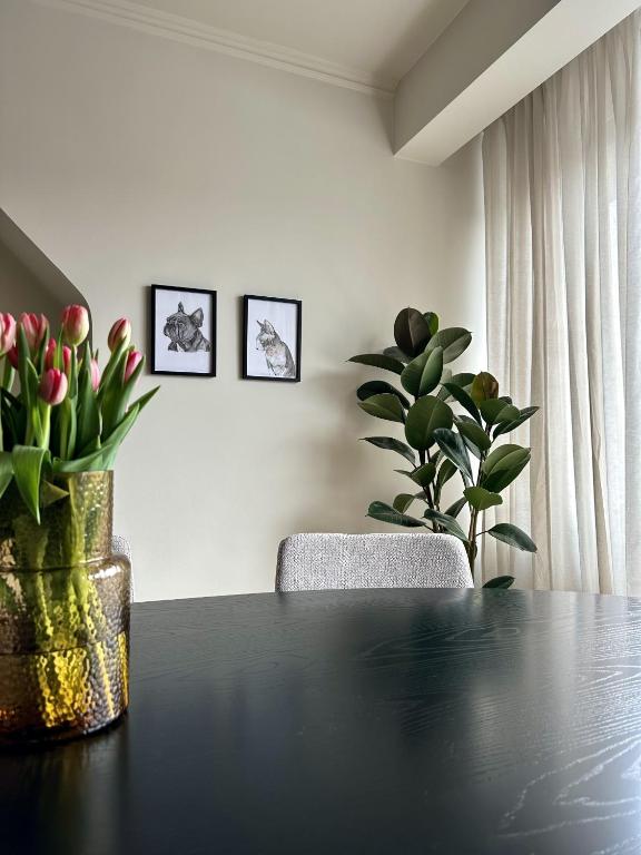 Fotografie z fotogalerie ubytování Flat centrum Oudenaarde met eigen fietsen berging v destinaci Oudenaarde