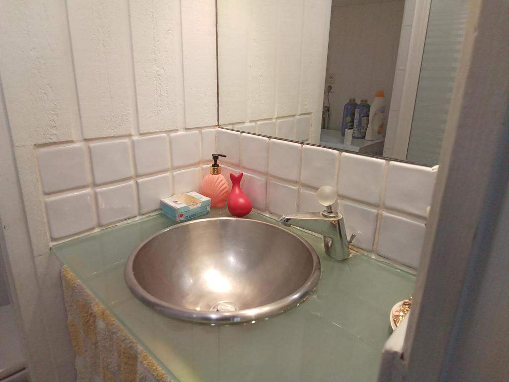 eine Badezimmertheke mit einem Waschbecken und einem Spiegel in der Unterkunft L'appartement florentin in Saint-Germain-en-Laye