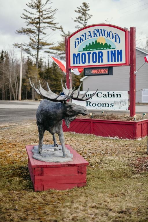 a statue of a moose in front of a motor inn at Briarwood motor inn in Lincoln