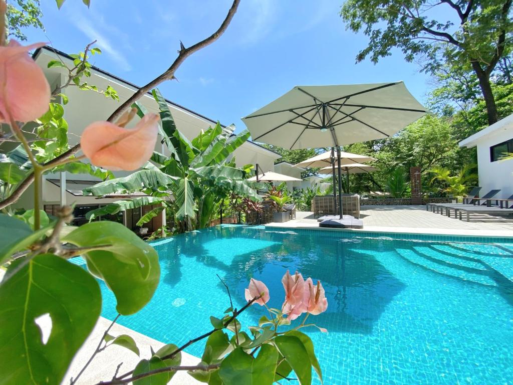 una piscina con sombrilla y algunas flores en NATURA Loft Garden en Santa Teresa