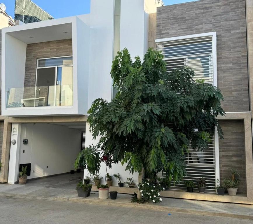 una casa con un albero davanti di Casa 112 Residencial Framboyanes a Santa Cruz Xoxocotlán