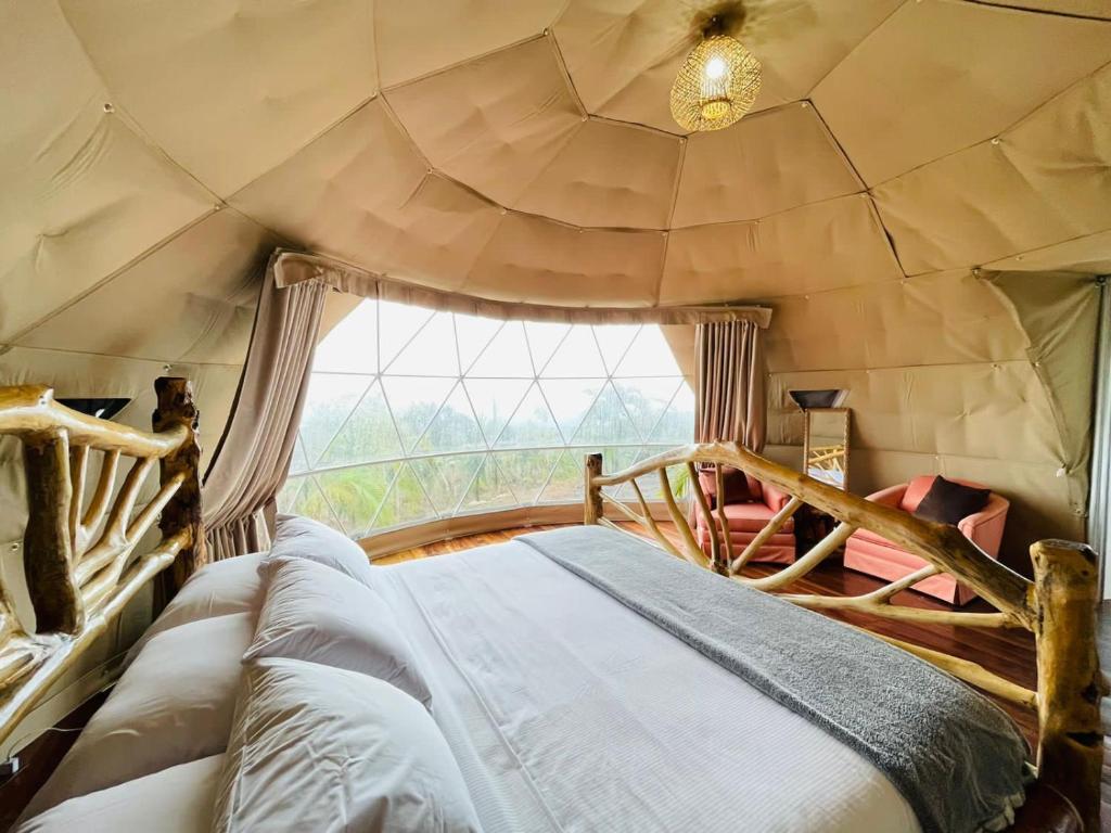 Cama en habitación con ventana en Refugio del Bosque CABAÑAS Y GLAMPING, en Guácimo