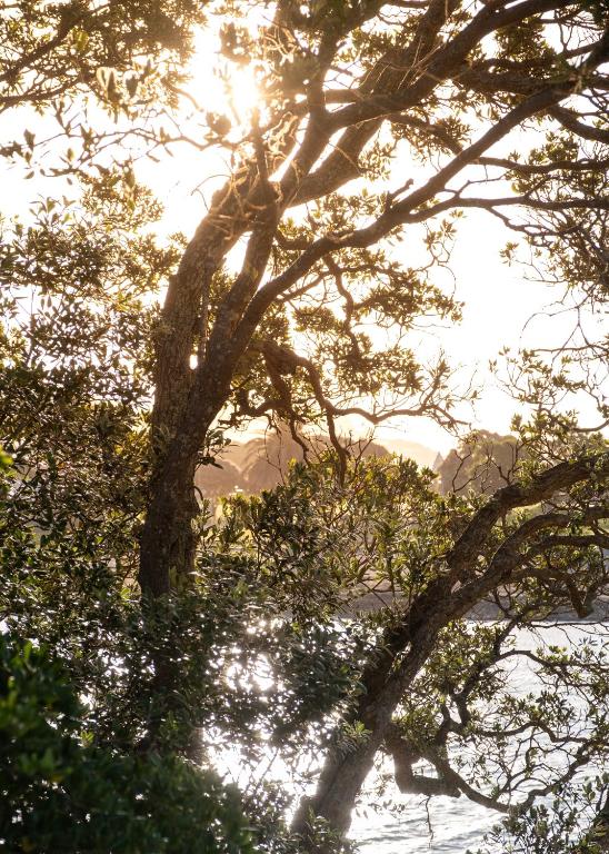 Bow Street Apartments & Cottage - Resim 29