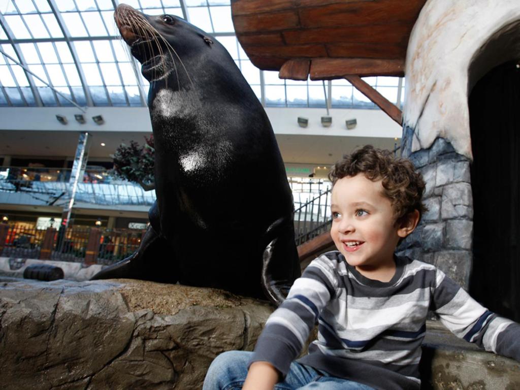 West Edmonton Mall Inn - Resim 21