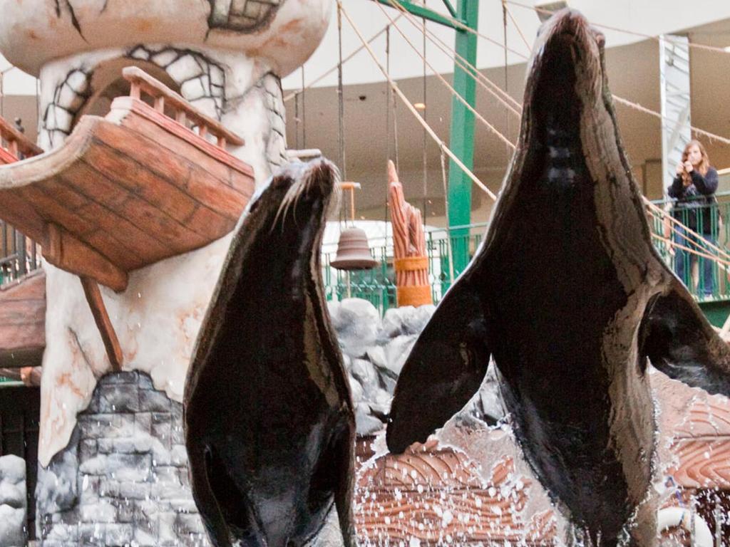 West Edmonton Mall Inn - Resim 20