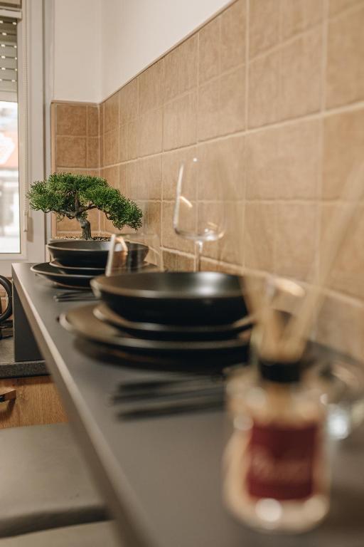 Kuchyň nebo kuchyňský kout v ubytování Apartman Premijer 1