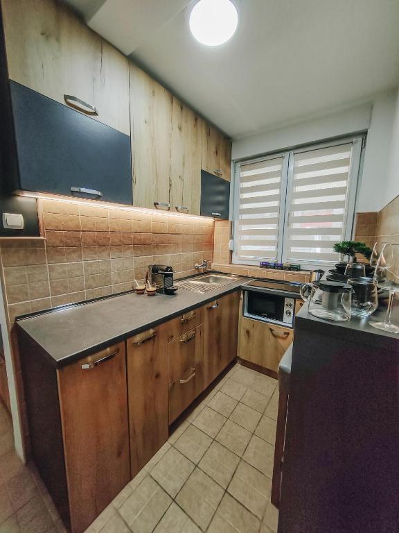 Kuchyň nebo kuchyňský kout v ubytování Apartman Premijer 1