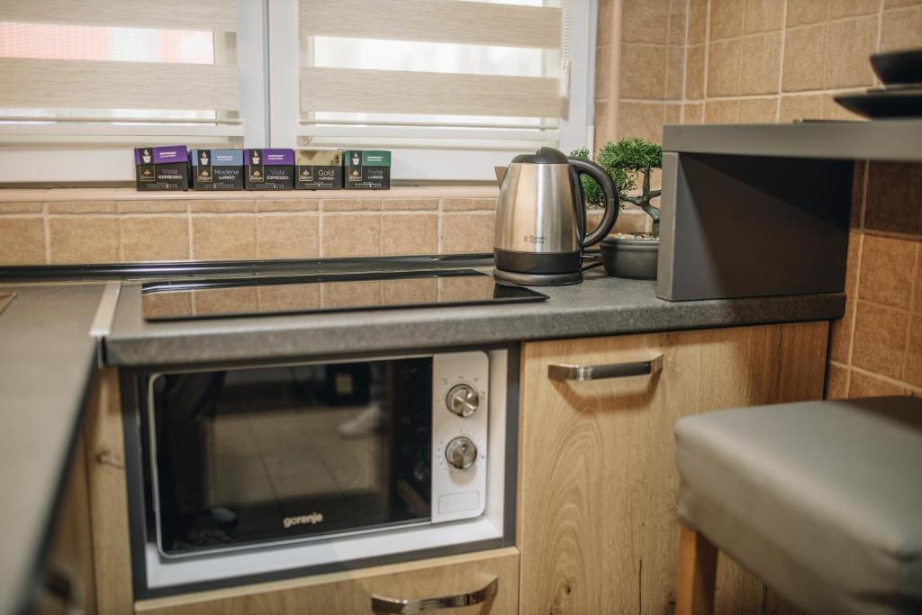 Kuchyň nebo kuchyňský kout v ubytování Apartman Premijer 1
