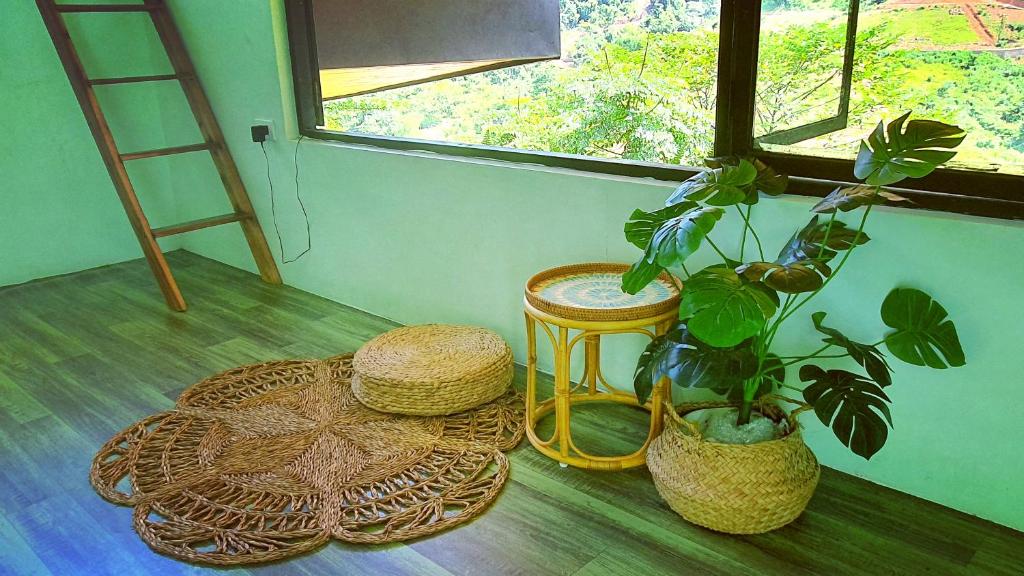 Zahrada ubytování Dốc Chill - Villa gần Ba Vì, view núi, gần hồ, 40ph đi từ trung tâm Hà Nội