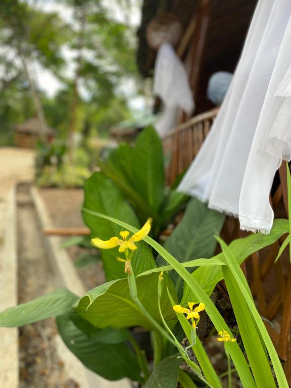 Eco Park - Albur Rental Properties - Triple Room With Private Bathroom
