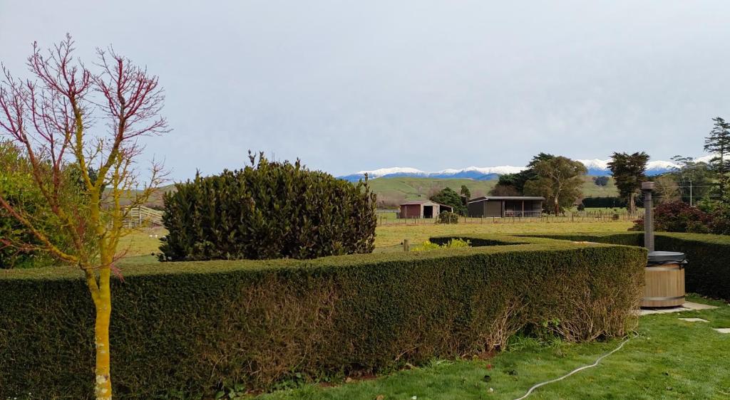 Camcott Farm - Resim 9