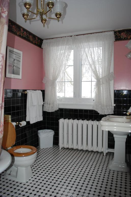 a bathroom with a toilet and a sink and a window at Chestnut Inn in Niagara Falls