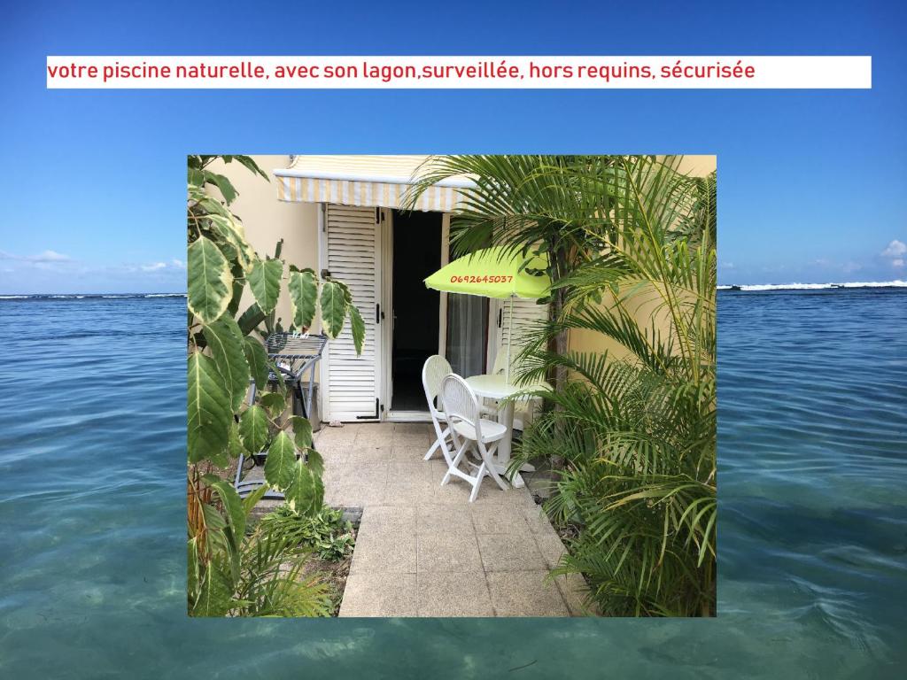 une maison sur l'eau avec des chaises et un parasol dans l'établissement À Pied Dans L'Eau, à Saint-Gilles les Bains