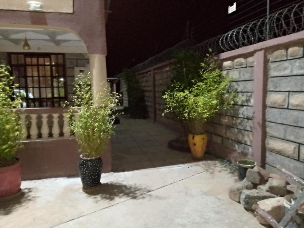 deux plantes dans des vases sur un patio la nuit dans l'établissement Paju & Lelujo Residence, 