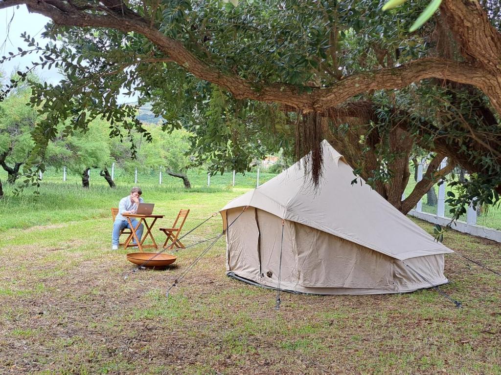 Ein Mann, der an einem Tisch neben einem Zelt unter einem Baum sitzt. in der Unterkunft Bearsu Nature Almoxarife in Horta