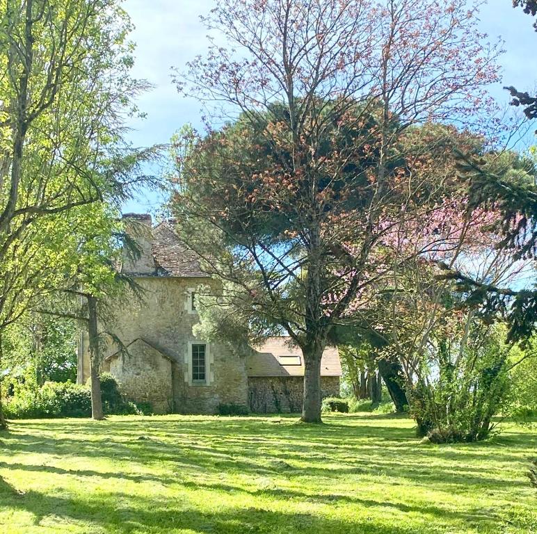 an old stone house with a tree in the yard at Hunting Lodge - 10p - Le Mans 24hrs - private pool in Fercé-sur-Sarthe