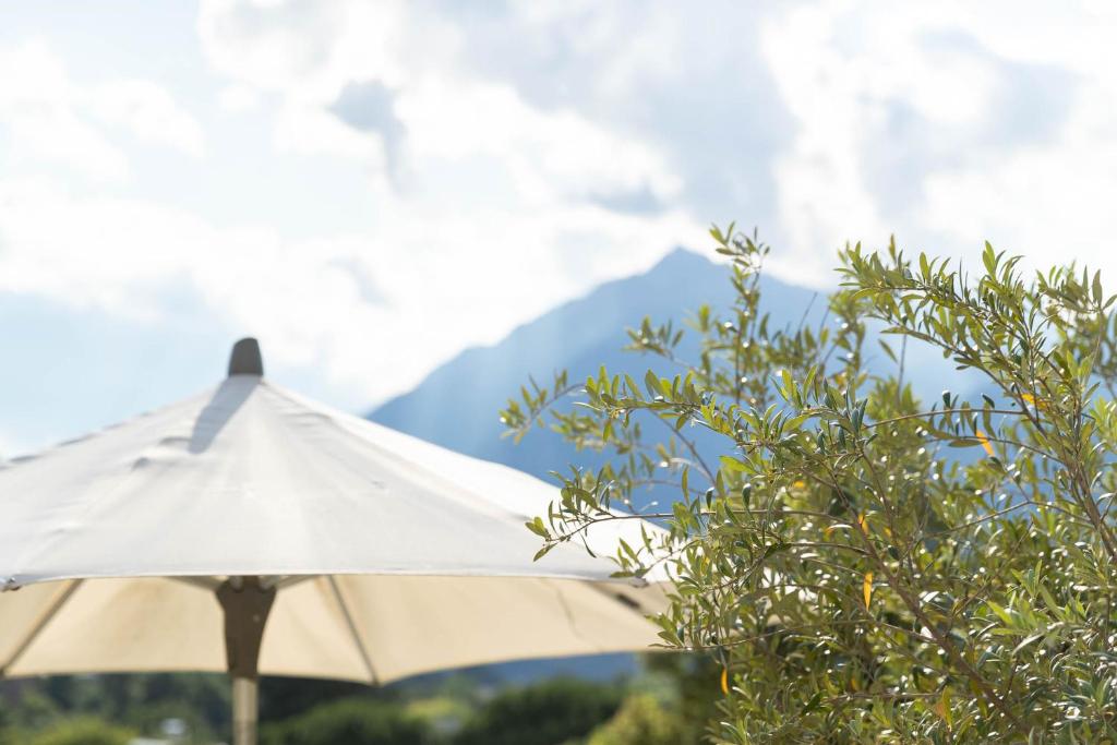 Ladurnerhof Boutique Apartments Meran - Apartment Mit 1 Schlafzimmer, Balkon Und Bergblick