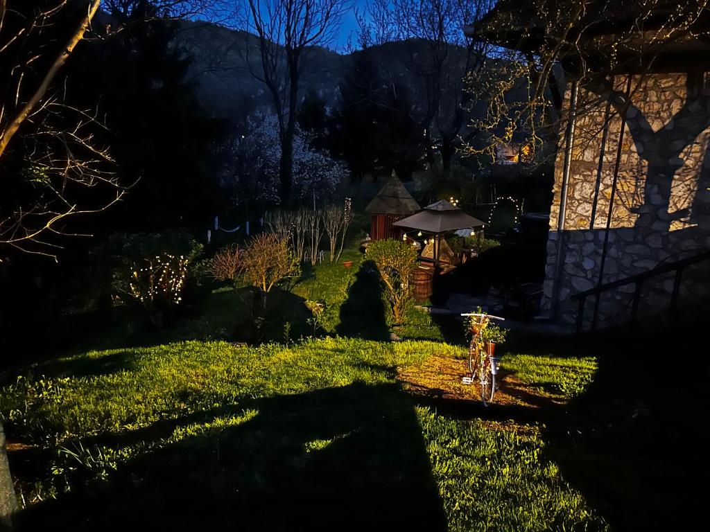 Zahrada ubytování LaConac Lupsa