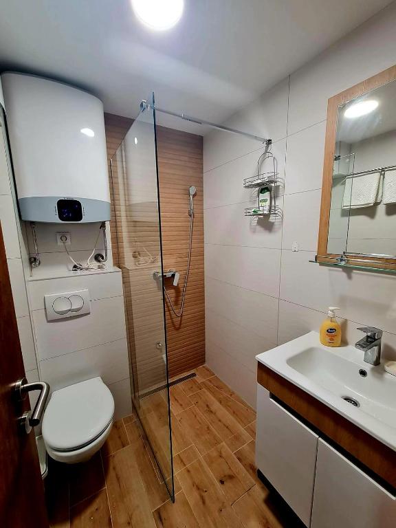 Koupelna v ubytování Apartman VIN 5