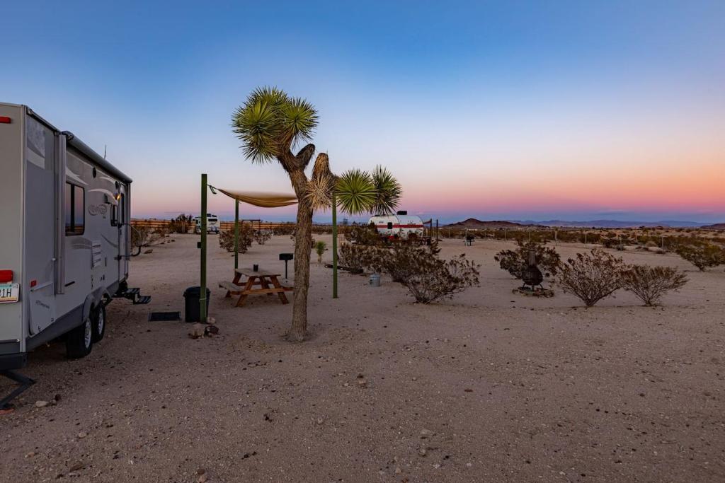 a camper and a palm tree in the desert at JT Village Campground - Casa Pequena in Joshua Tree