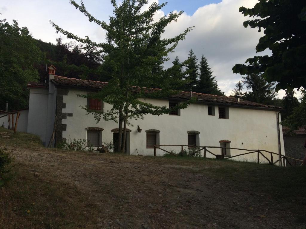 uma casa branca com uma árvore em frente em Casa nel bosco a 10 minuti da Pistoia em Corbezzi