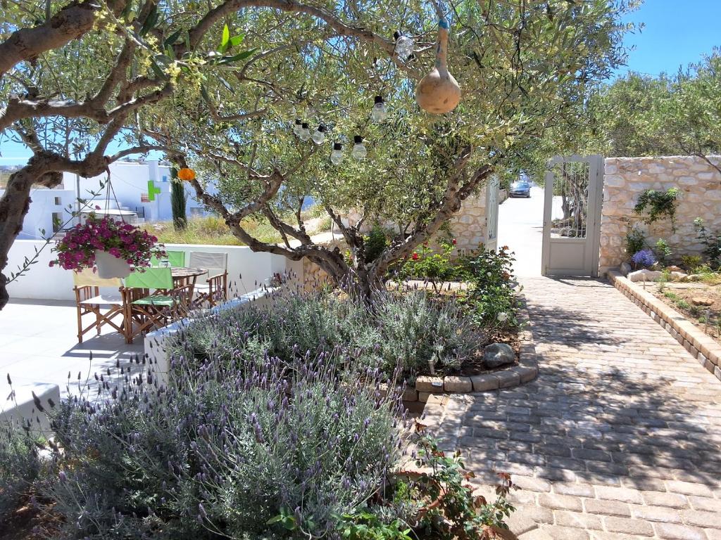 Κήπος έξω από το LEVANDA PAROS HOUSE
