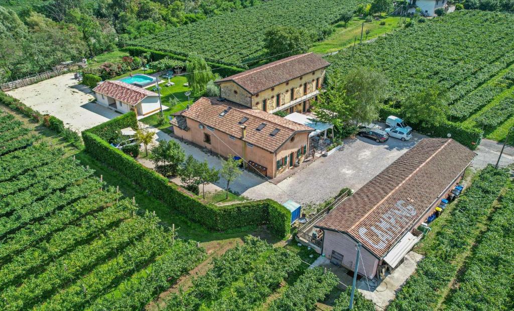 an aerial view of a house in a vineyard at Agriturismo Revena in Belluno Veronese