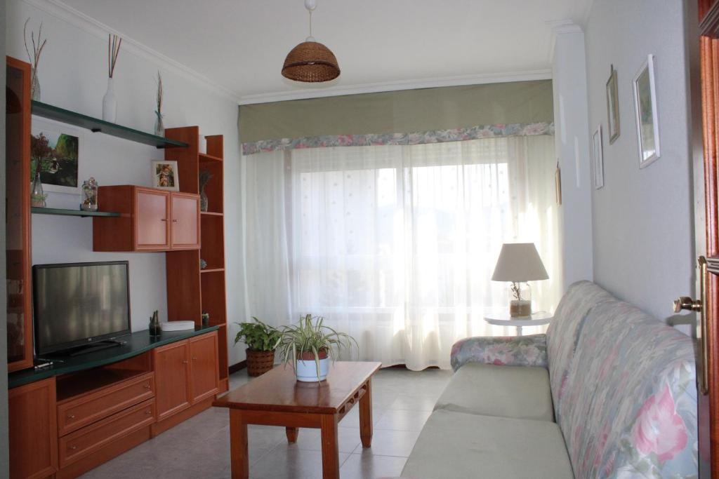 een woonkamer met een bank en een tv bij Apto Peteiro in Ponteareas