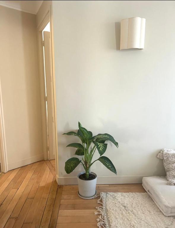 une plante en pot dans un salon avec un canapé dans l'établissement Boheme Chic house, à Paris