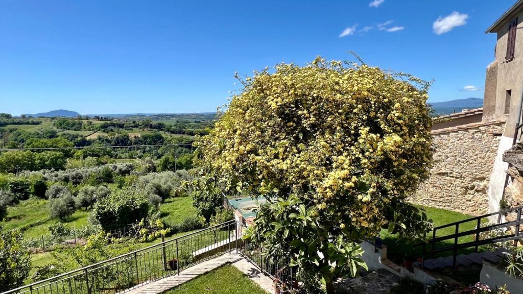 un árbol con flores amarillas al lado de un edificio en La Vista en Otricoli