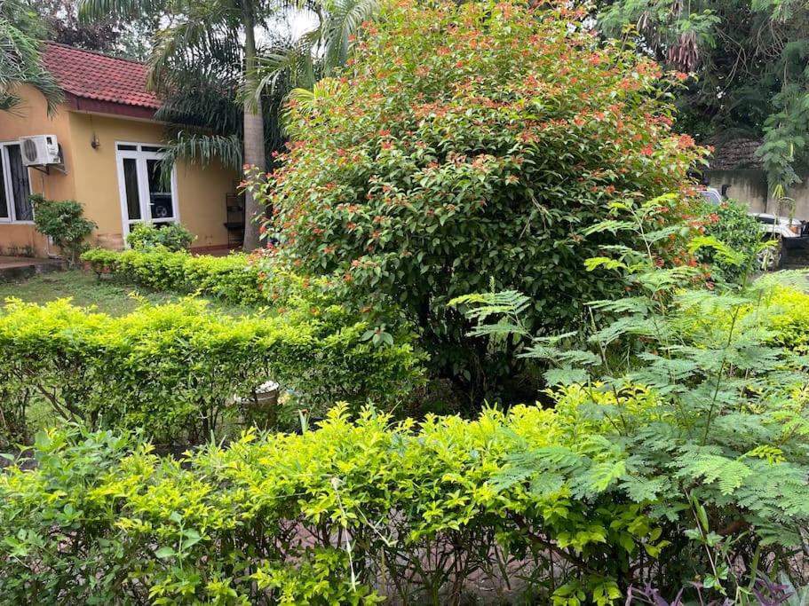 a house with a large tree with flowers at Beautiful 4 bedroom house in Masaki with parking in Dar es Salaam