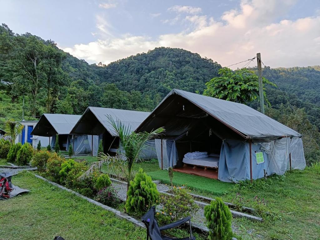 two tents in a field with mountains in the background at Nama Stay Home in Pokhara