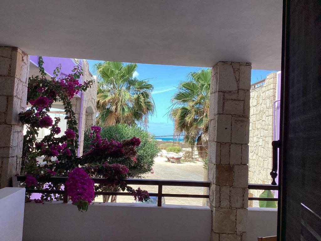 a view of the beach from a building with flowers at Ca Greta F - Sea View Apartments in Sal Rei