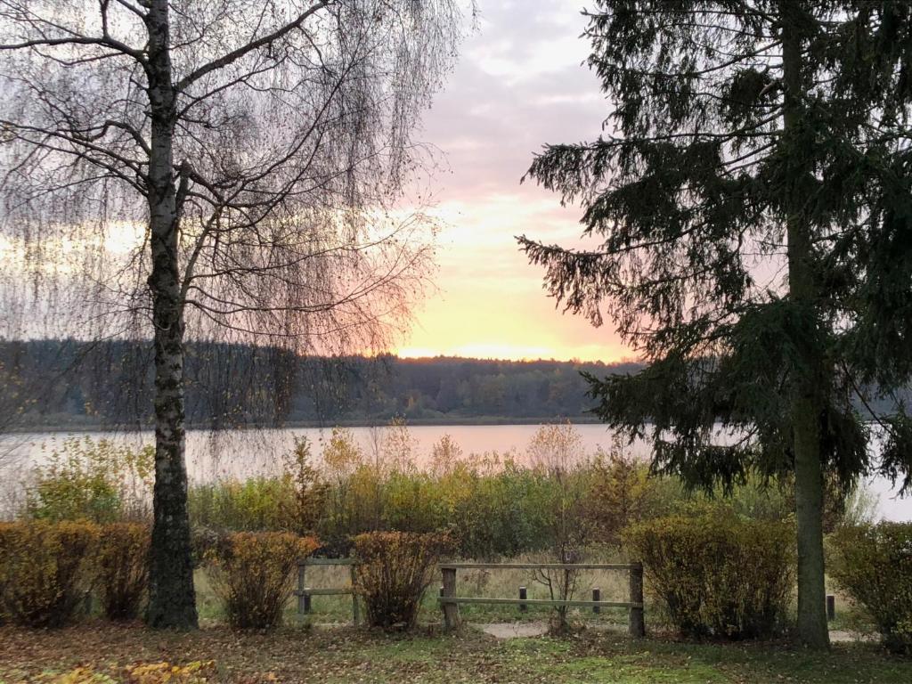 a bench in front of a lake at sunset at Vogtis Ferienhaus am Glammsee in Warin