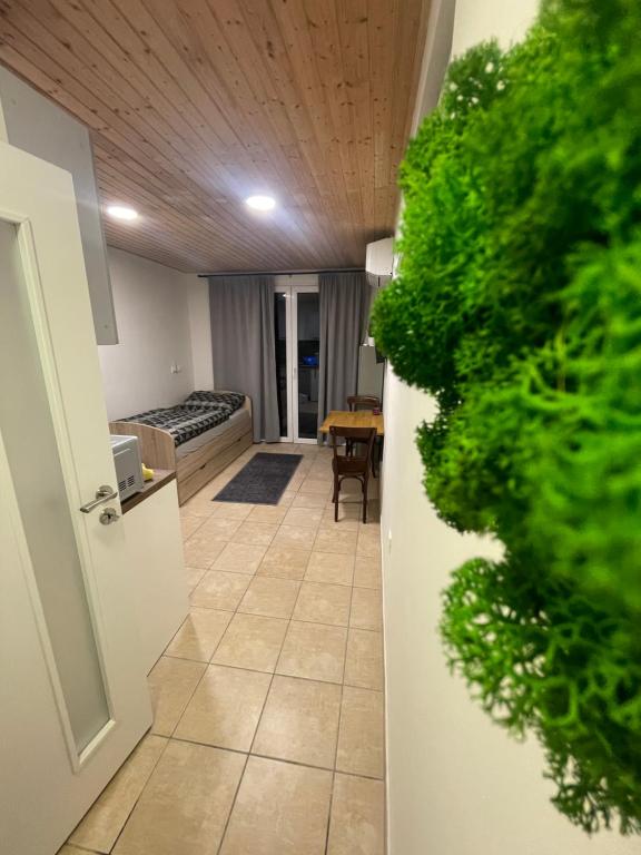 un pasillo con una habitación con cama y plantas verdes en Apartmán Stupava en Stupava